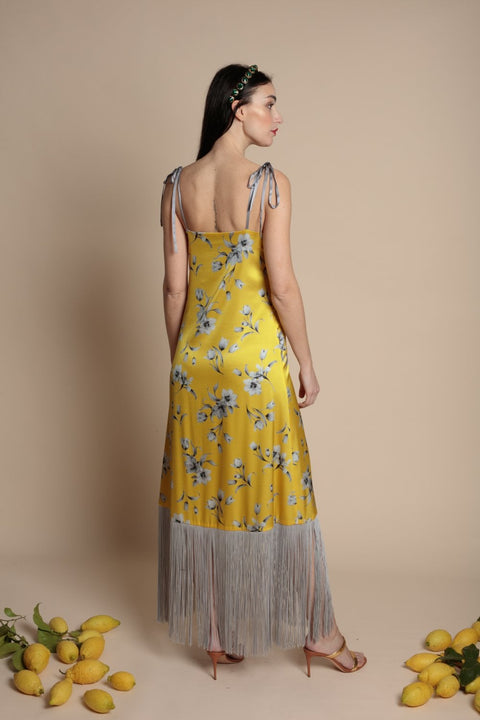 Eva Yellow Tulip